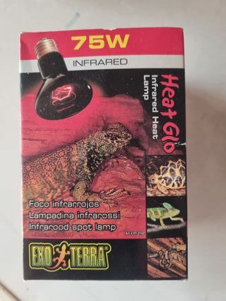 Set Lampade Riscaldanti Infrarossi