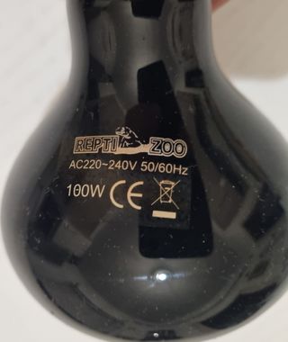 Set Lampade Riscaldanti Infrarossi