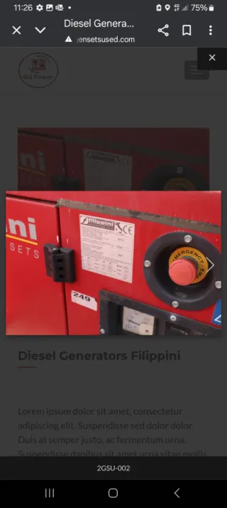 Alquiler Generador filippini 40 kva