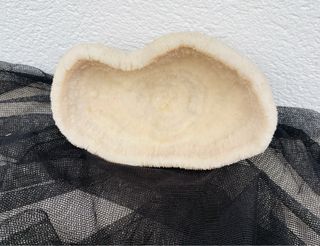 Coral Marino Blanco 20 .  16  ctm