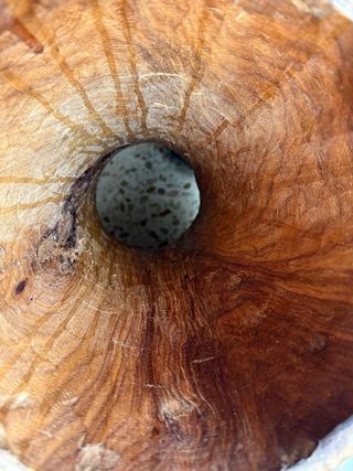 Tambor Djembe Senegal Artesanal con funda rígida