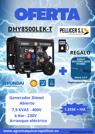 Generador Diesel Hyundai DHY8500LEK-T