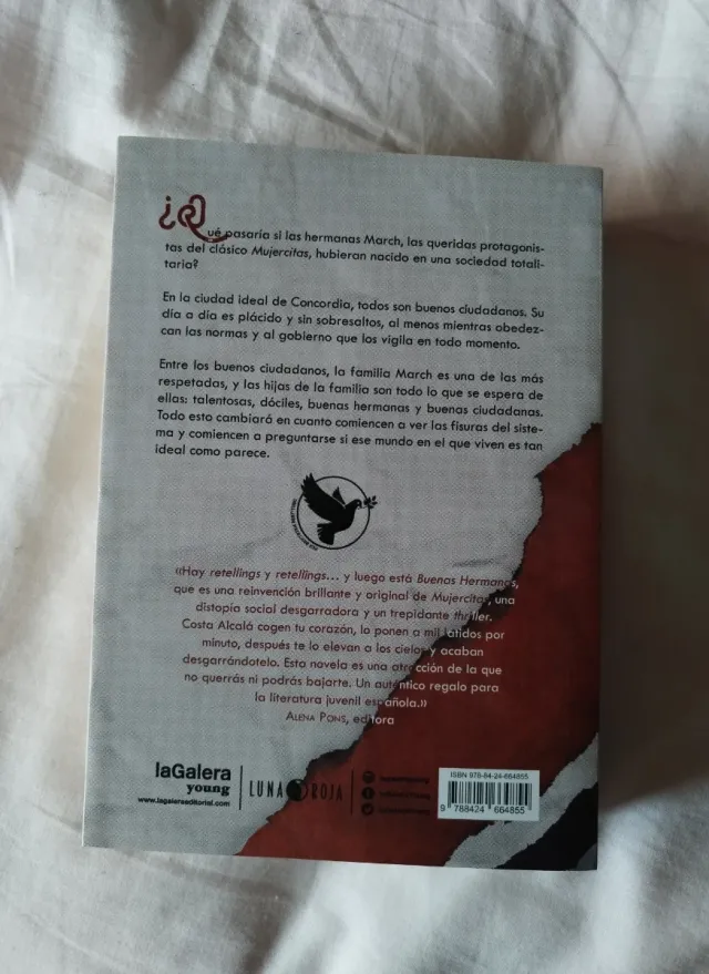 Libro Buenas hermanas de Costa Alcalá