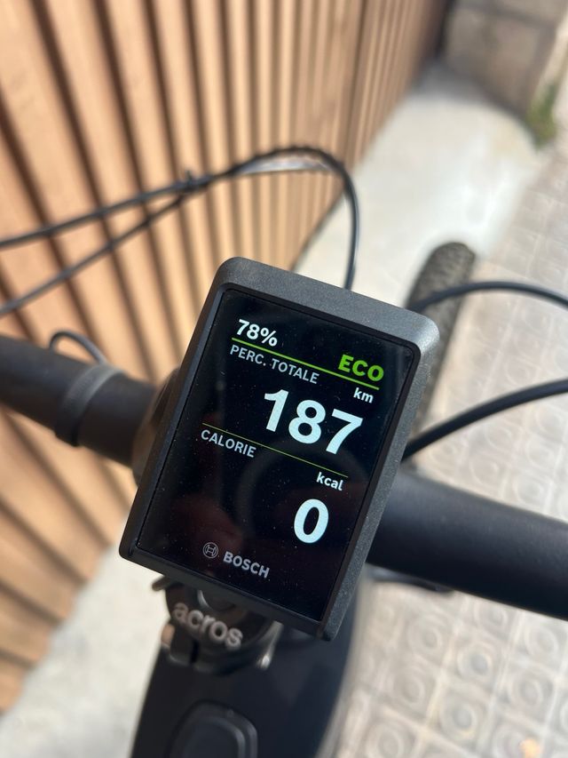 Bicicleta Whistle B-rush Carbon talla L