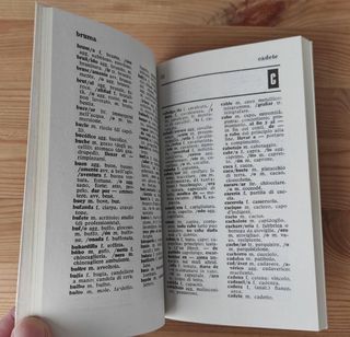 Diccionario italiano-español y español-italiano