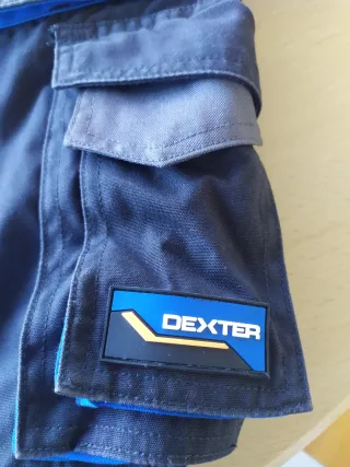 Pantalón de trabajo Dexter azul y gris