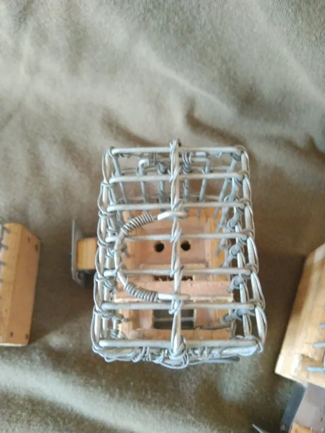 Jaulas de colección (3 unidades)