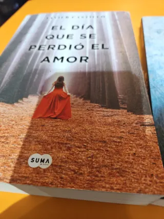 El día que se perdió el amor / The Day Love Was...