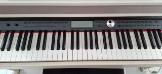 Piano eléctrico Thomann DP-95