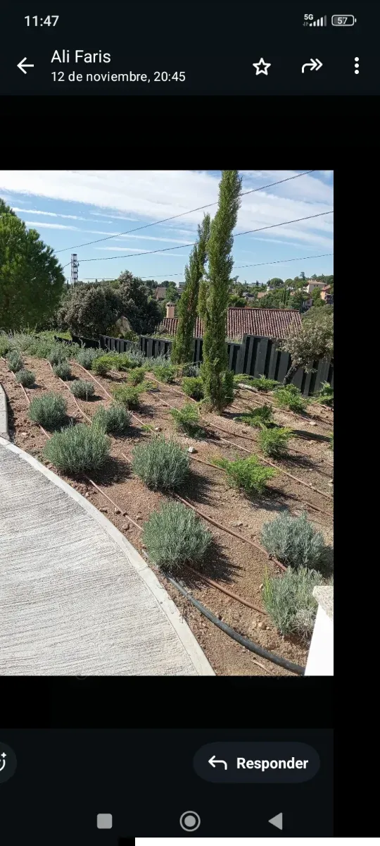 Jardinera con plantas y riego