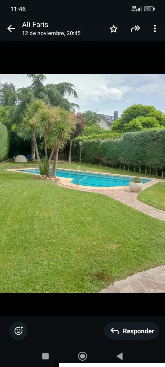 Jardinera con plantas y riego