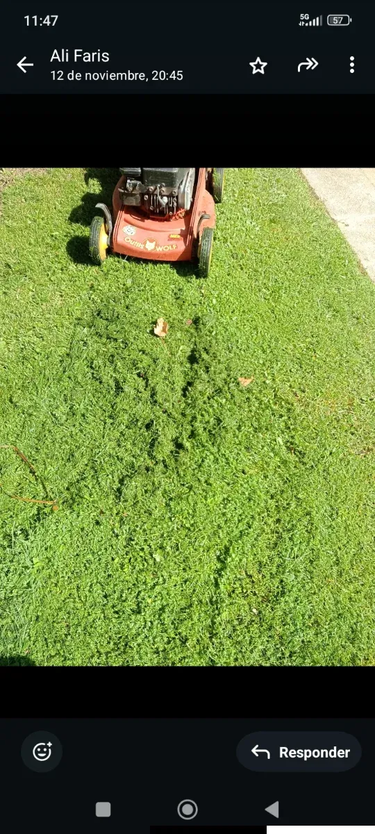 Jardinera con plantas y riego