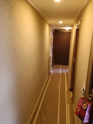 Pintor decorador profesional