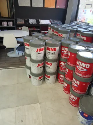 Pintor decorador profesional