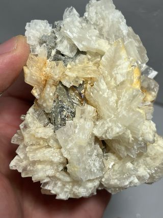 Barita transparente Mina Moscona