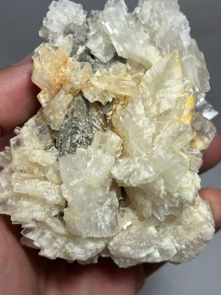 Barita transparente Mina Moscona