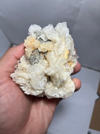 Barita transparente Mina Moscona