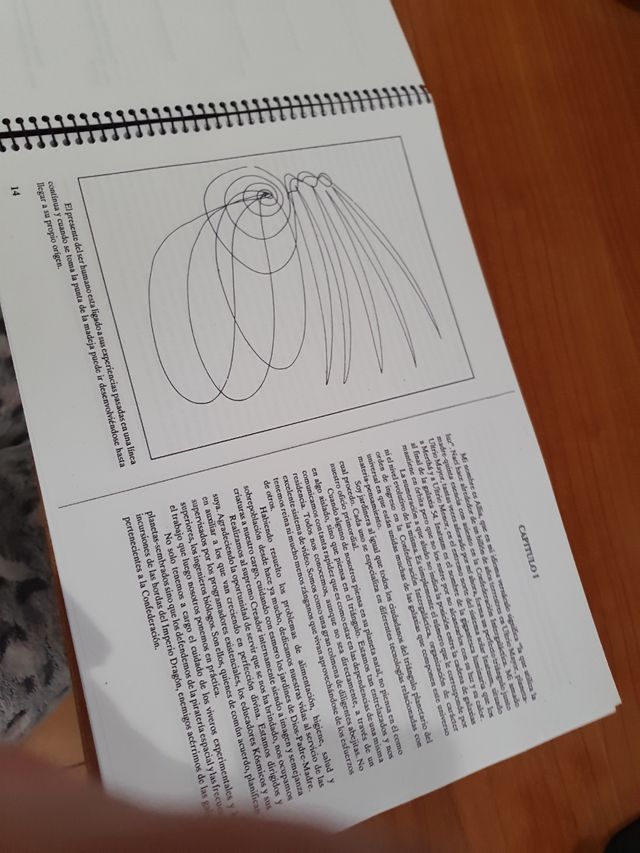 Memorias de un ser extraterrestre (Spanish Edition)