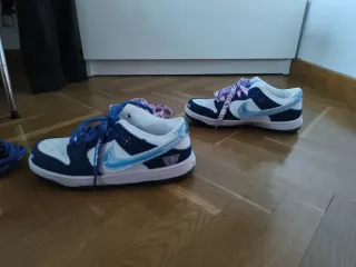 Nike SB Dunk Low - Azul y Blanco