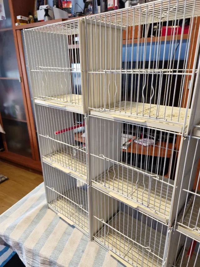 Multijuala 9 Departamentos Beige/Blanco