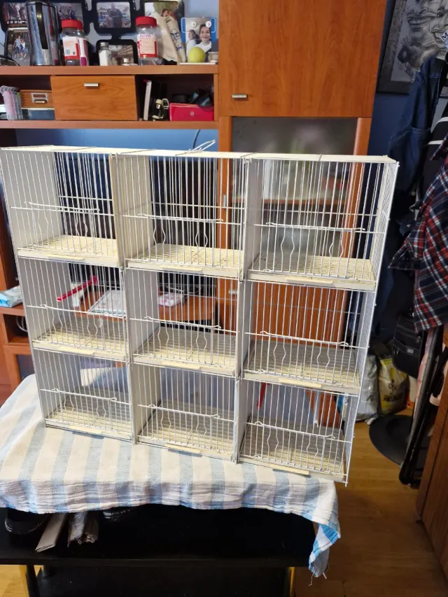 Multijuala 9 Departamentos Beige/Blanco