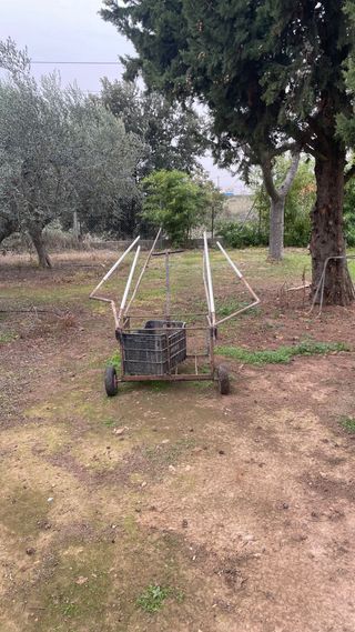 Carretilla paraguas recogida aceitunas