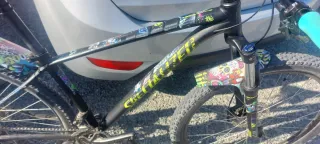 Bicicleta MTB 29 Specialized taglia M