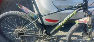 Bicicleta MTB 29 Specialized taglia M