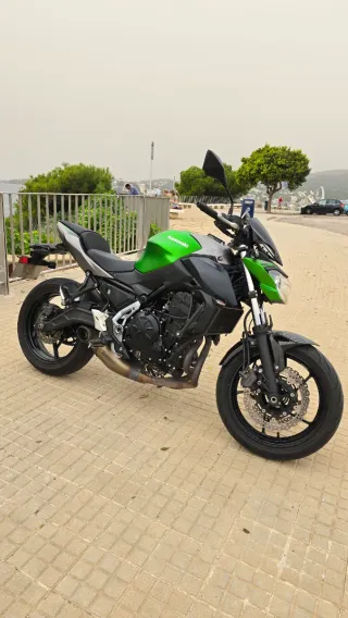 Kawasaki Z650 A2 Akrapovic 2021