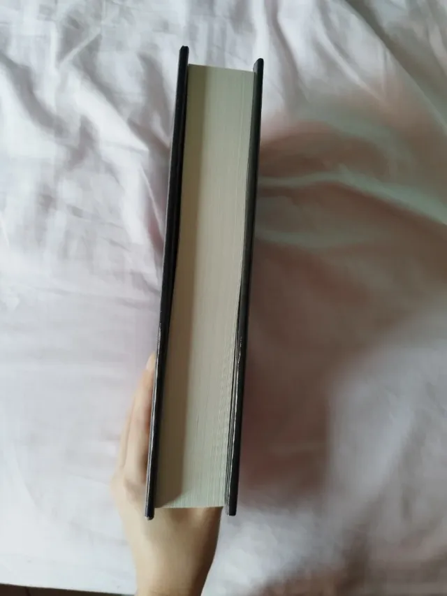 The Savior's Champion