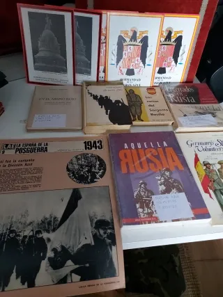 Lote Libros División Azul