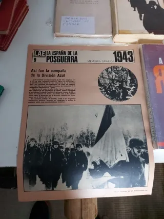 Lote Libros División Azul