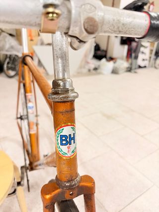 Bicicleta BH Contrapedal Vintage