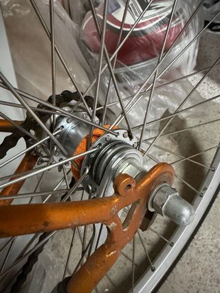 Bicicleta BH Contrapedal Vintage