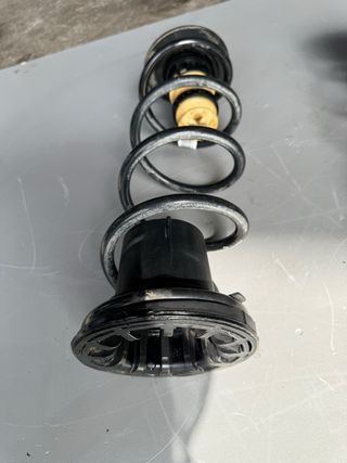 Muelles Suspensión Citroen Berlingo