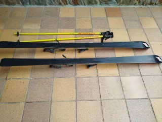 Esquís con bastones