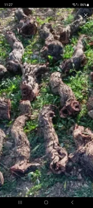 Leña para barbacoa o fuego