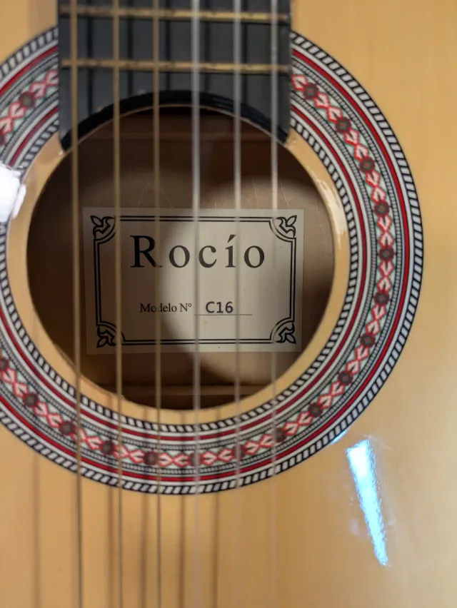 Guitarra Junior Rocío con funda