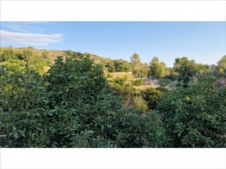 Solar en venta en Vilamarxant