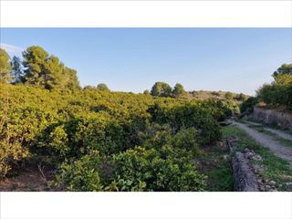 Solar en venta en Vilamarxant