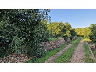 Solar en venta en Vilamarxant