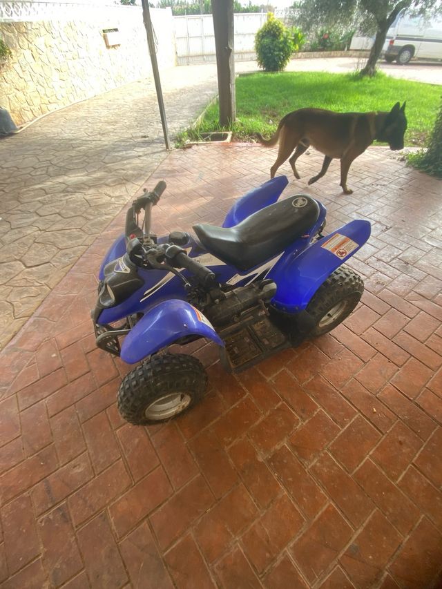 Quad infantil 49cc azul
