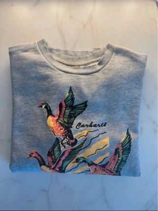 Sudadera Carhartt Estampada Naturaleza Talla M