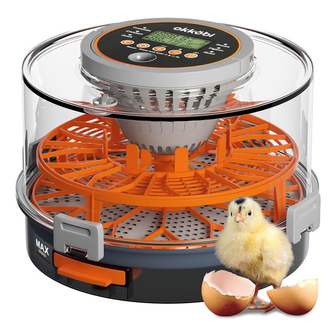 NUEVO - Incubadora Okköbi Automática Huevos