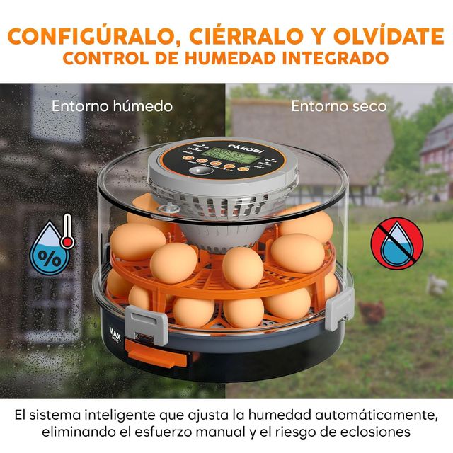 NUEVO - Incubadora Okköbi Automática Huevos
