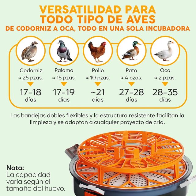 NUEVO - Incubadora Okköbi Automática Huevos