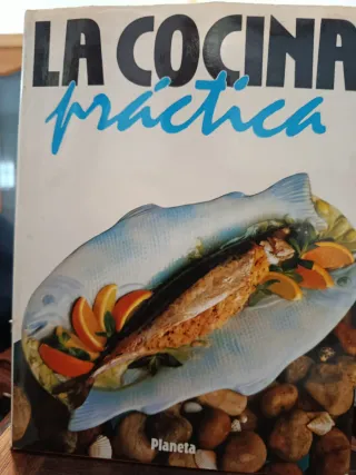 Enciclopedia la cocina práctica
