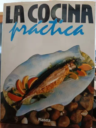 Enciclopedia la cocina práctica