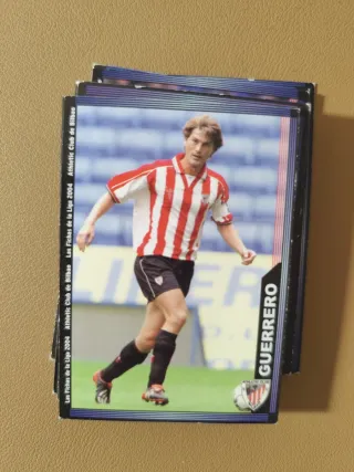 Lote más de 100 cromos Mundicromo 2004