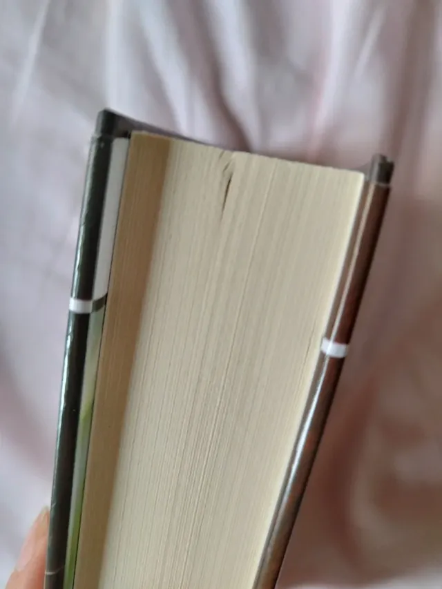 Libro Promesa de Sangre